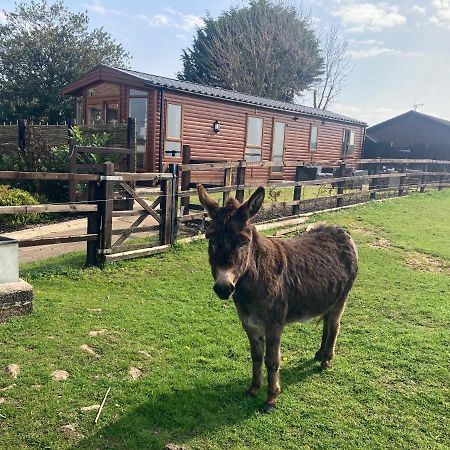 Rew Farm Country And Equestrian Accommodation - Sunset Lodge Melksham Eksteriør billede