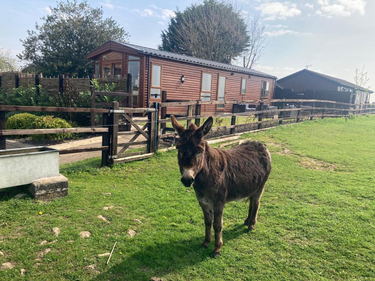 Rew Farm Country And Equestrian Accommodation - Sunset Lodge Melksham Eksteriør billede