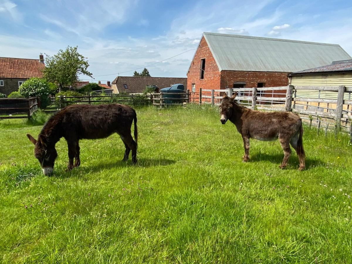 Rew Farm Country And Equestrian Accommodation - Sunset Lodge Melksham Eksteriør billede