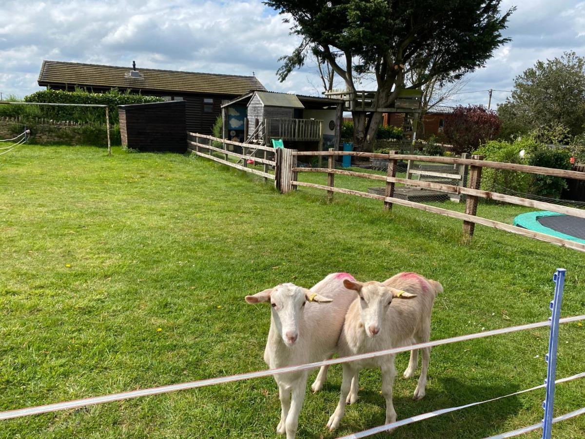 Rew Farm Country And Equestrian Accommodation - Sunset Lodge Melksham Eksteriør billede