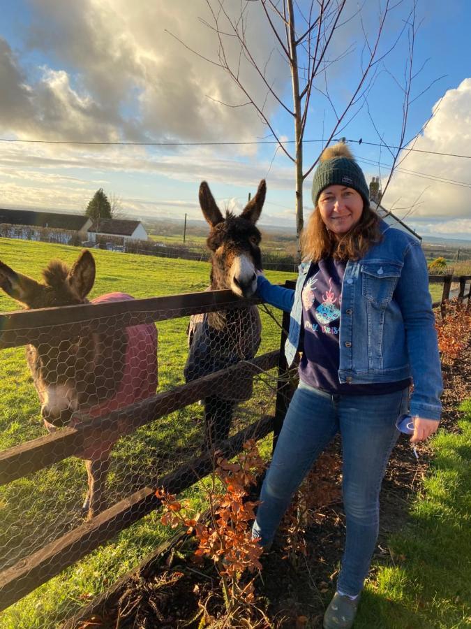 Rew Farm Country And Equestrian Accommodation - Sunset Lodge Melksham Eksteriør billede